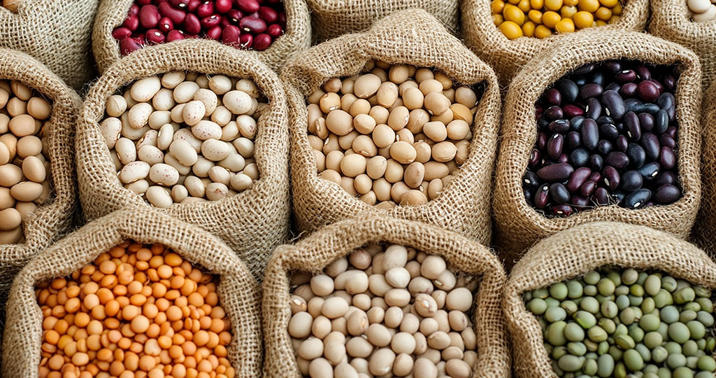 Legumes