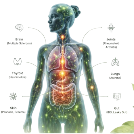 Autoimmune symptom body map